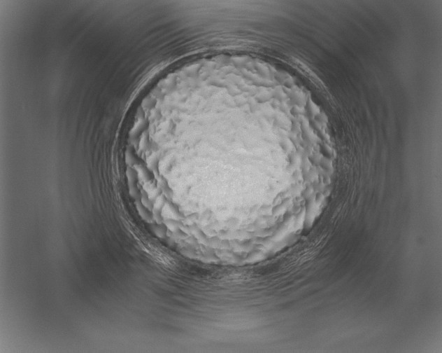 X0000060260891200511241424