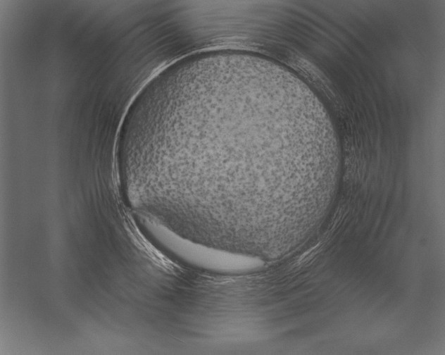 X0000060260892200511241424