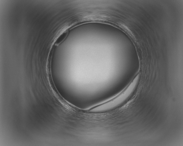 X0000060260893200511241424