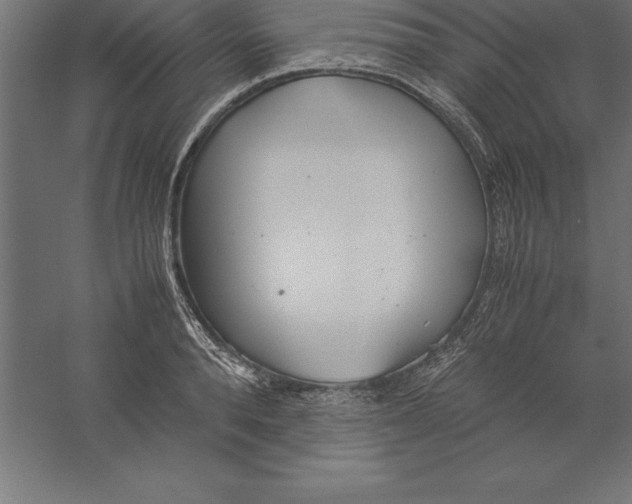 X0000060260896200511241424