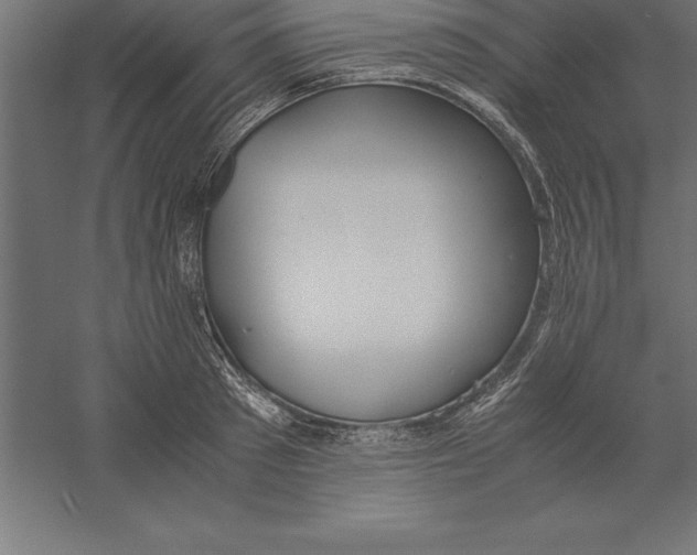 X0000060260897200511241424