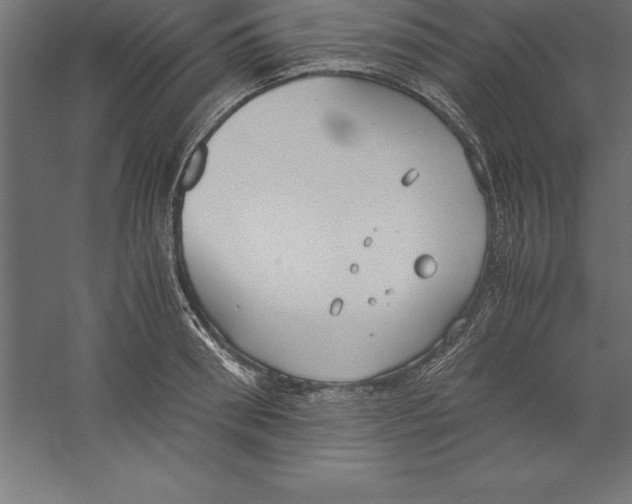 X0000060260898200511241424