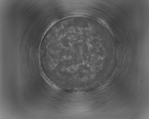 X0000060260899200511241424