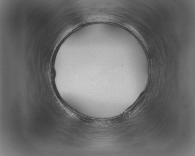 X0000060260901200511241424