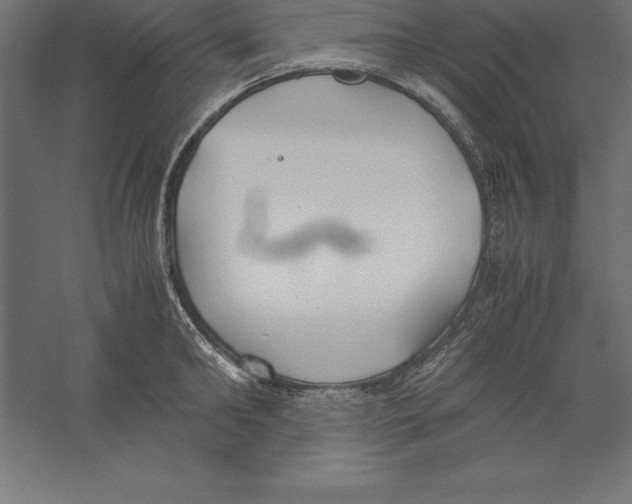 X0000060260902200511241424