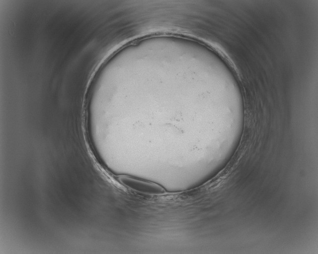 X0000060260903200511241424