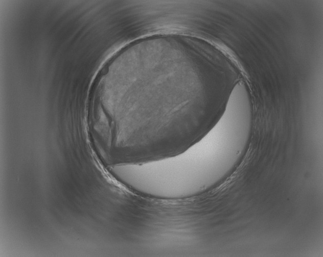 X0000060260904200511241424