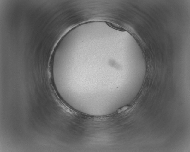 X0000060260908200511241424