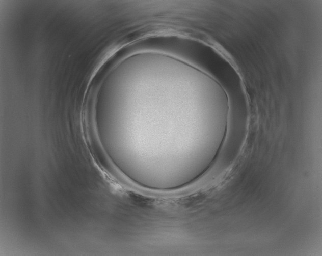 X0000060260909200511241424