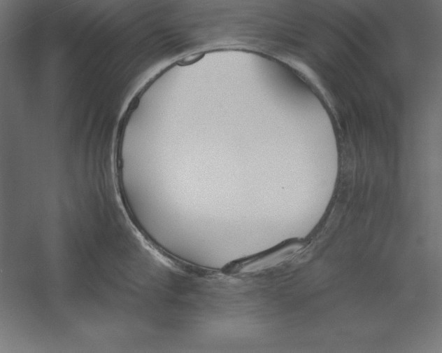 X0000060260910200511241424