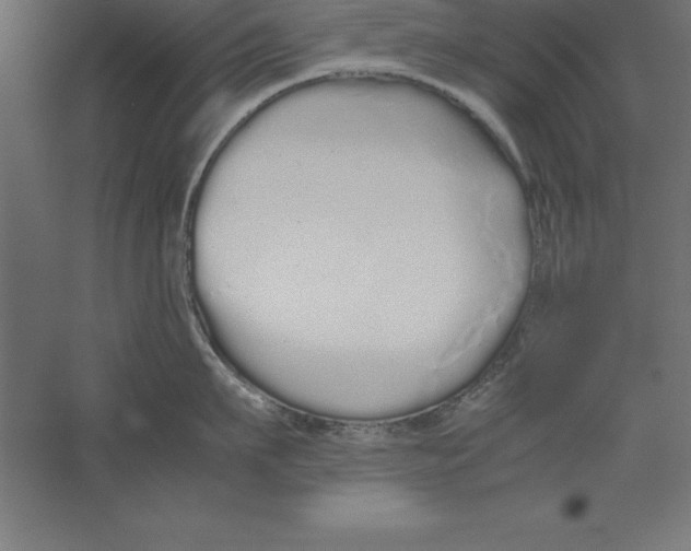 X0000060260911200511241424