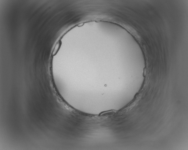 X0000060260912200511241424