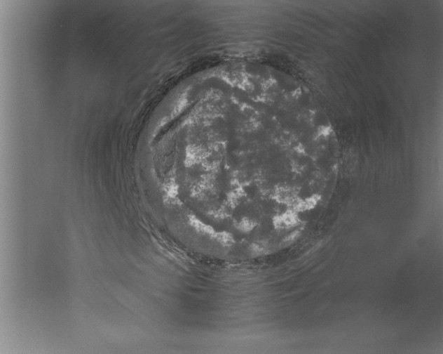 X0000060260913200511241423