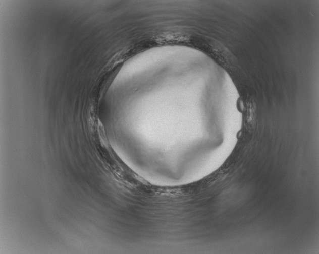 X0000060260915200511241423