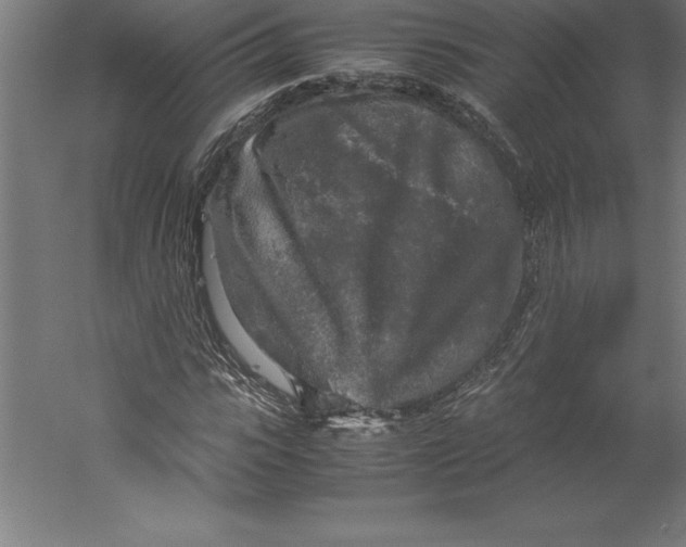 X0000060260919200511241423