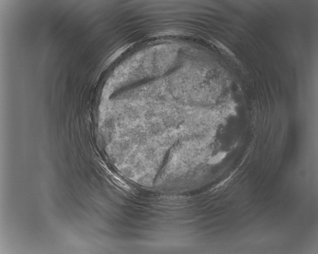 X0000060260921200511241423