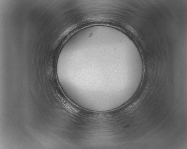 X0000060260922200511241423