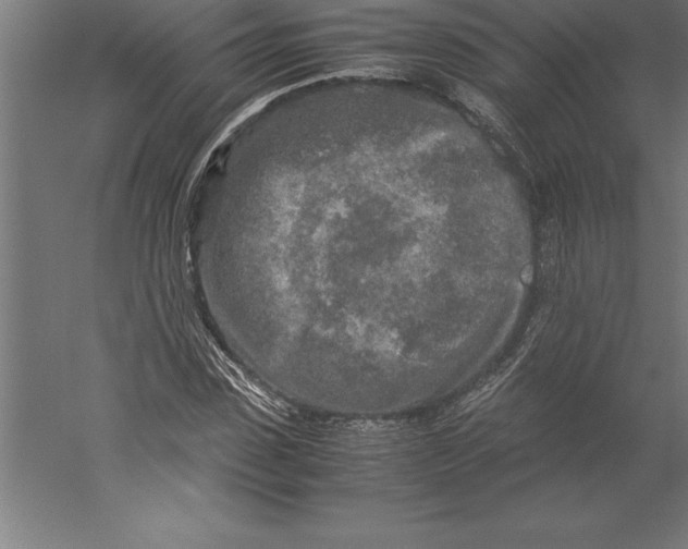 X0000060260923200511241423