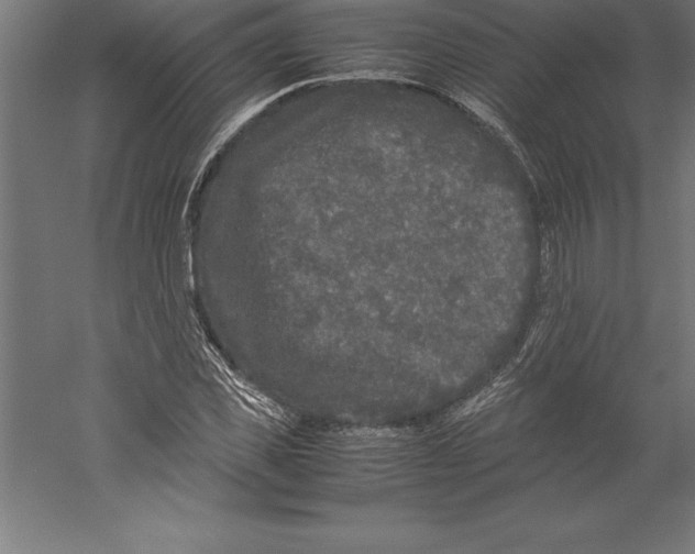 X0000060260925200511241423