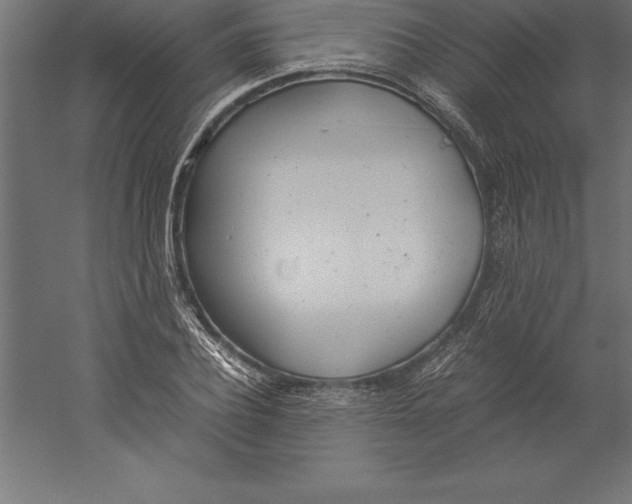 X0000060260932200511241423