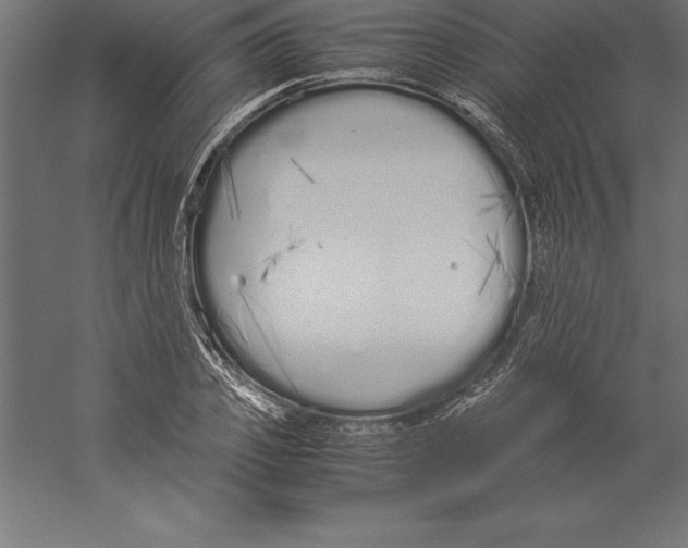 X0000060260933200511241423