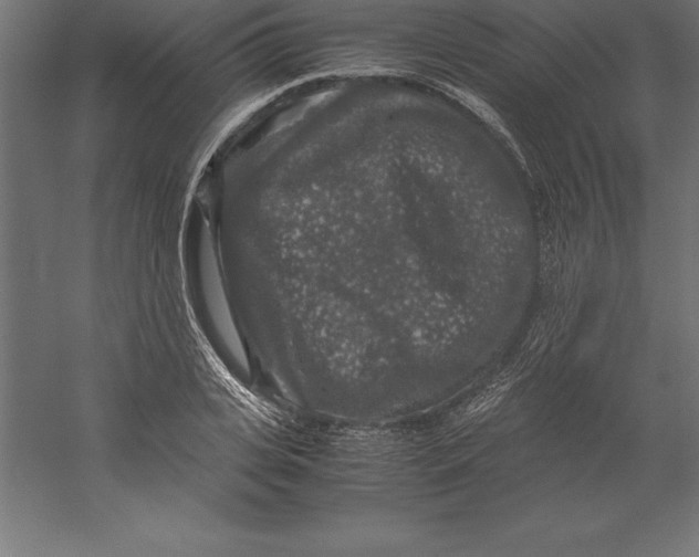 X0000060260935200511241423