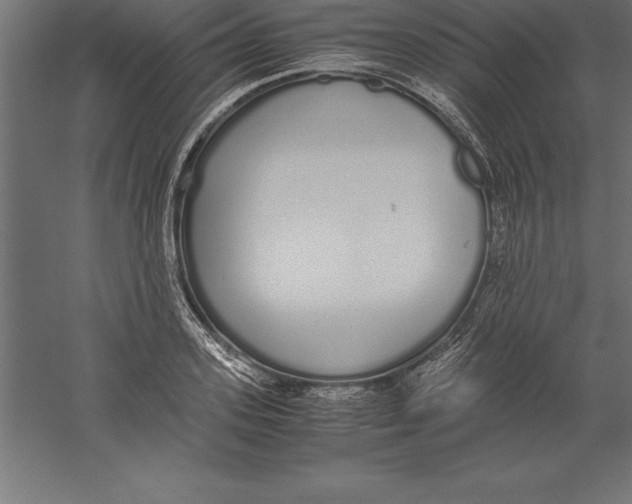 X0000060260939200511241424