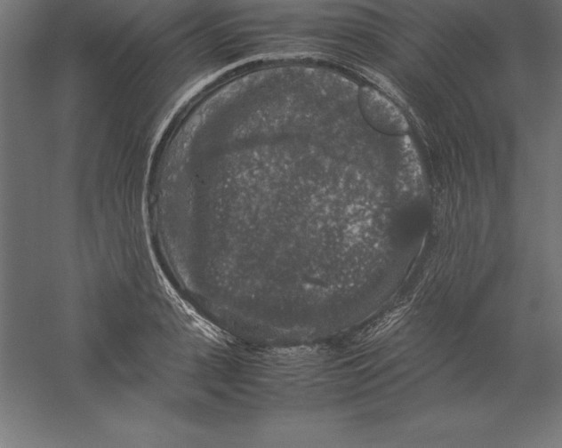 X0000060260943200511241424