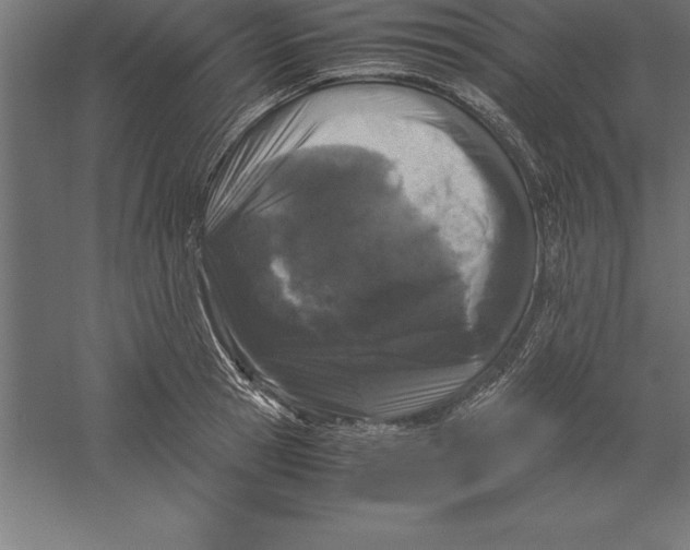 X0000060260945200511241424