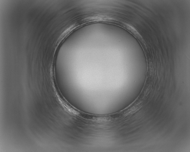 X0000060260946200511241424