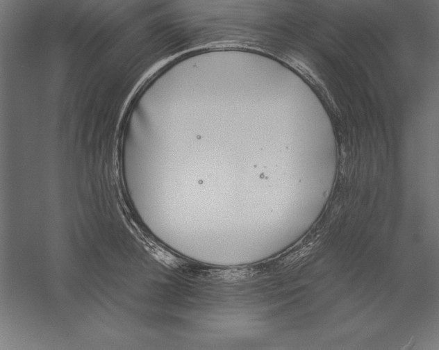 X0000060260948200511241424