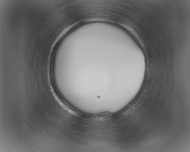 X0000060260949200511241424