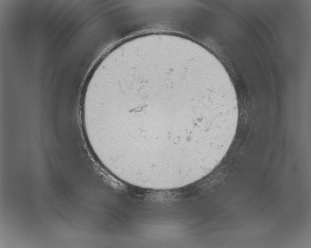 X0000060260950200511241424