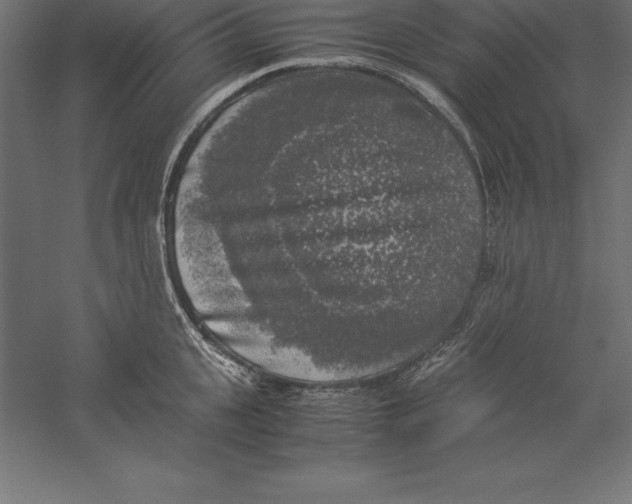 X0000060260951200511241424