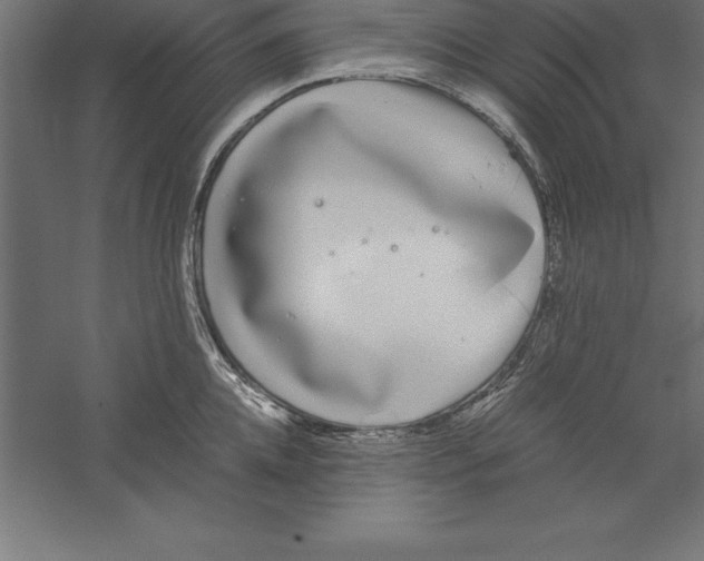 X0000060260952200511241424