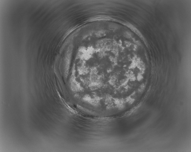 X0000060260953200511241424