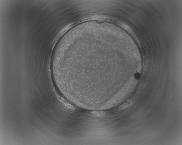 X0000060260954200511241424