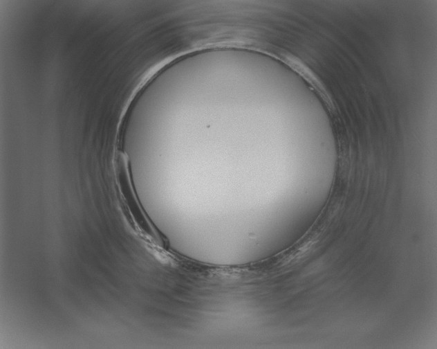 X0000060260956200511241424