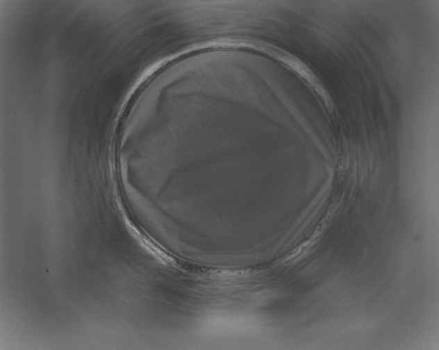 X0000060260958200511241424