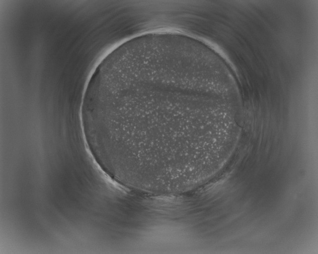 X0000060260959200511241424