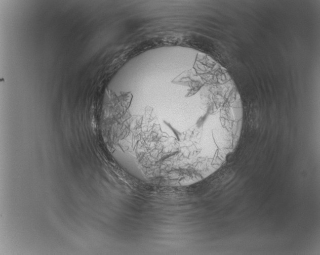 X0000060260962200511241423