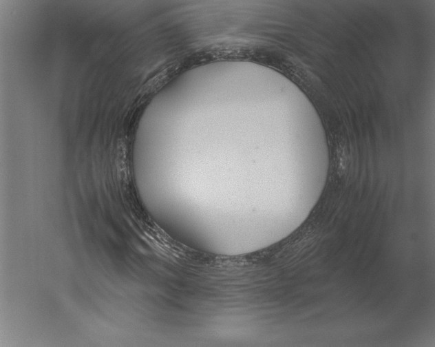 X0000060260964200511241423