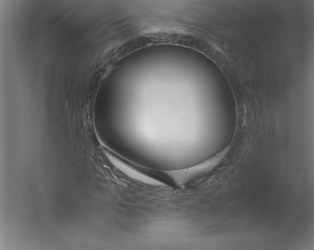 X0000060260965200511241423