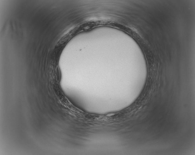 X0000060260967200511241423