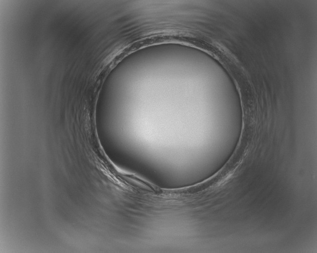 X0000060260969200511241423