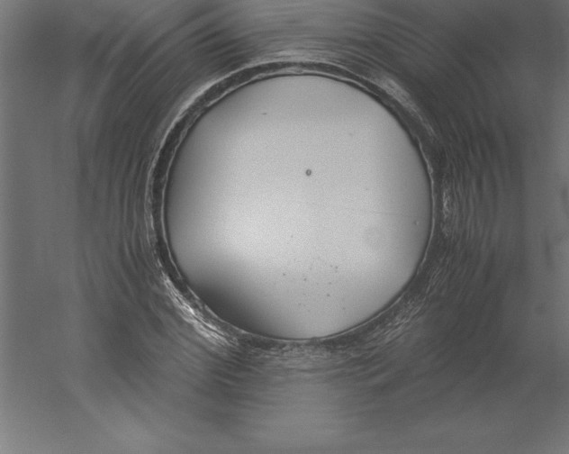 X0000060260972200511241423