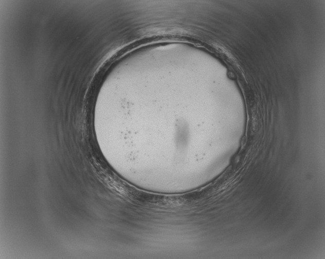 X0000060260975200511241423