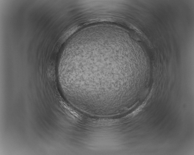 X0000060260977200511241423