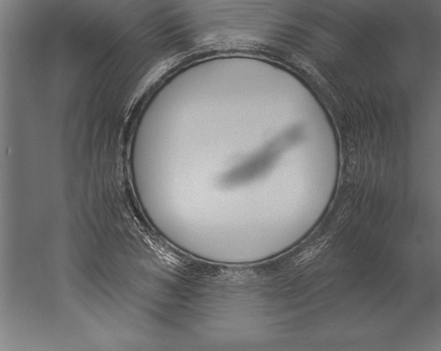 X0000060260978200511241423