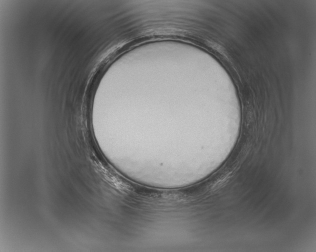 X0000060260979200511241423